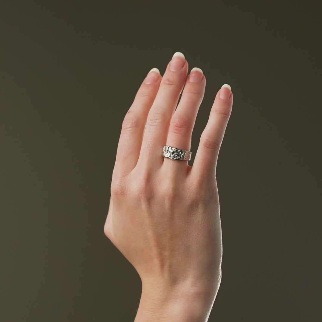 Meteor Celestial Ring Zilverkleurig - video